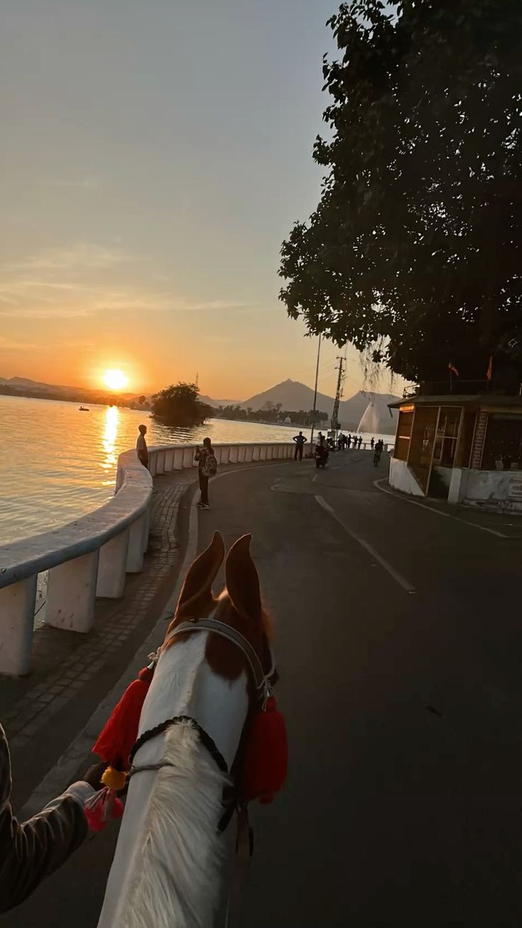 fatehsagar-lake-udaipur